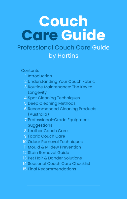 Professional Couch Care Guide