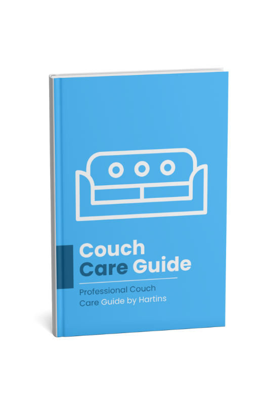 Professional Couch Care Guide